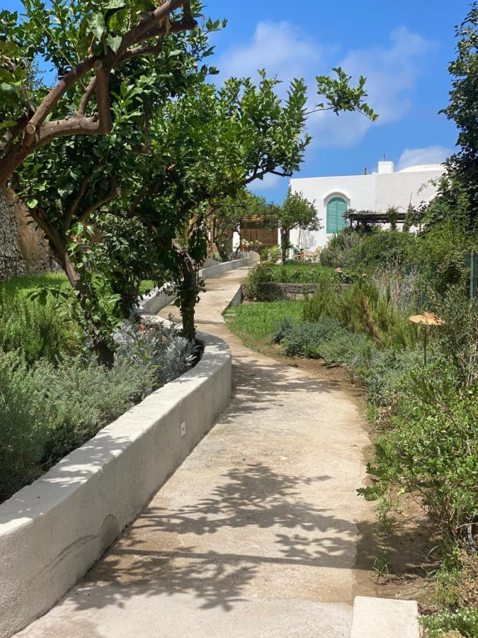 Capri Suite Marina Grande Екстериор снимка